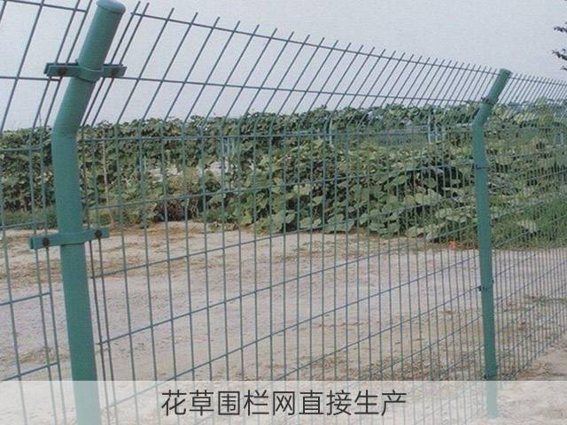 花草围栏网直接生产
